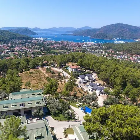 Premium & Brand New In Gocek C6 *